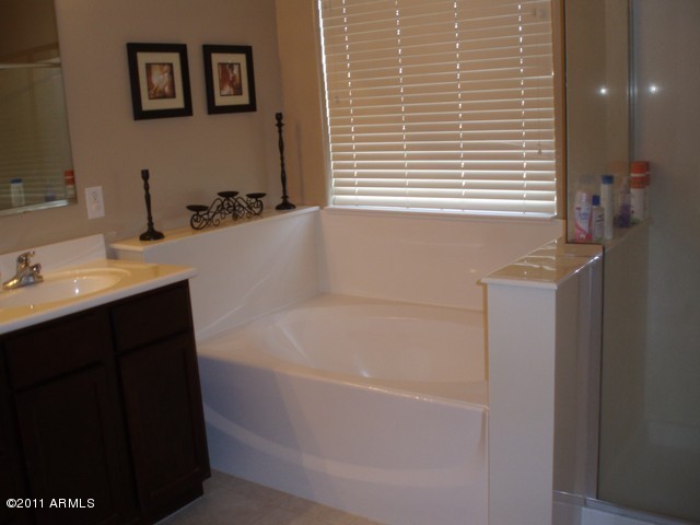 2933 East Blue Sage Road Gilbert, AZ 85297 - Photo 16 of 18 a bathroom with a bathtub and a sink