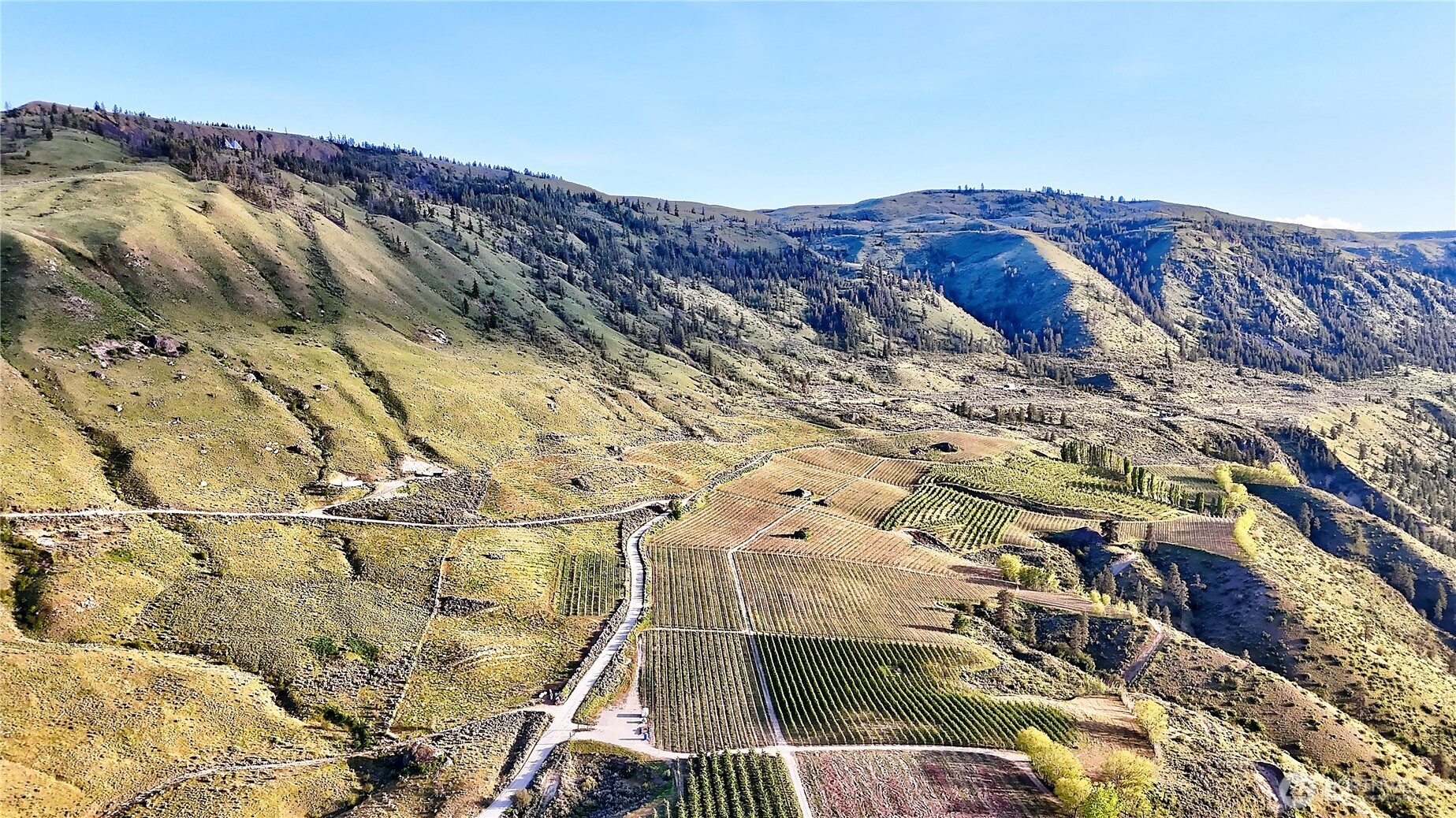 0 Farnham Canyon Road Orondo, WA 98843 - Photo 21 of 24