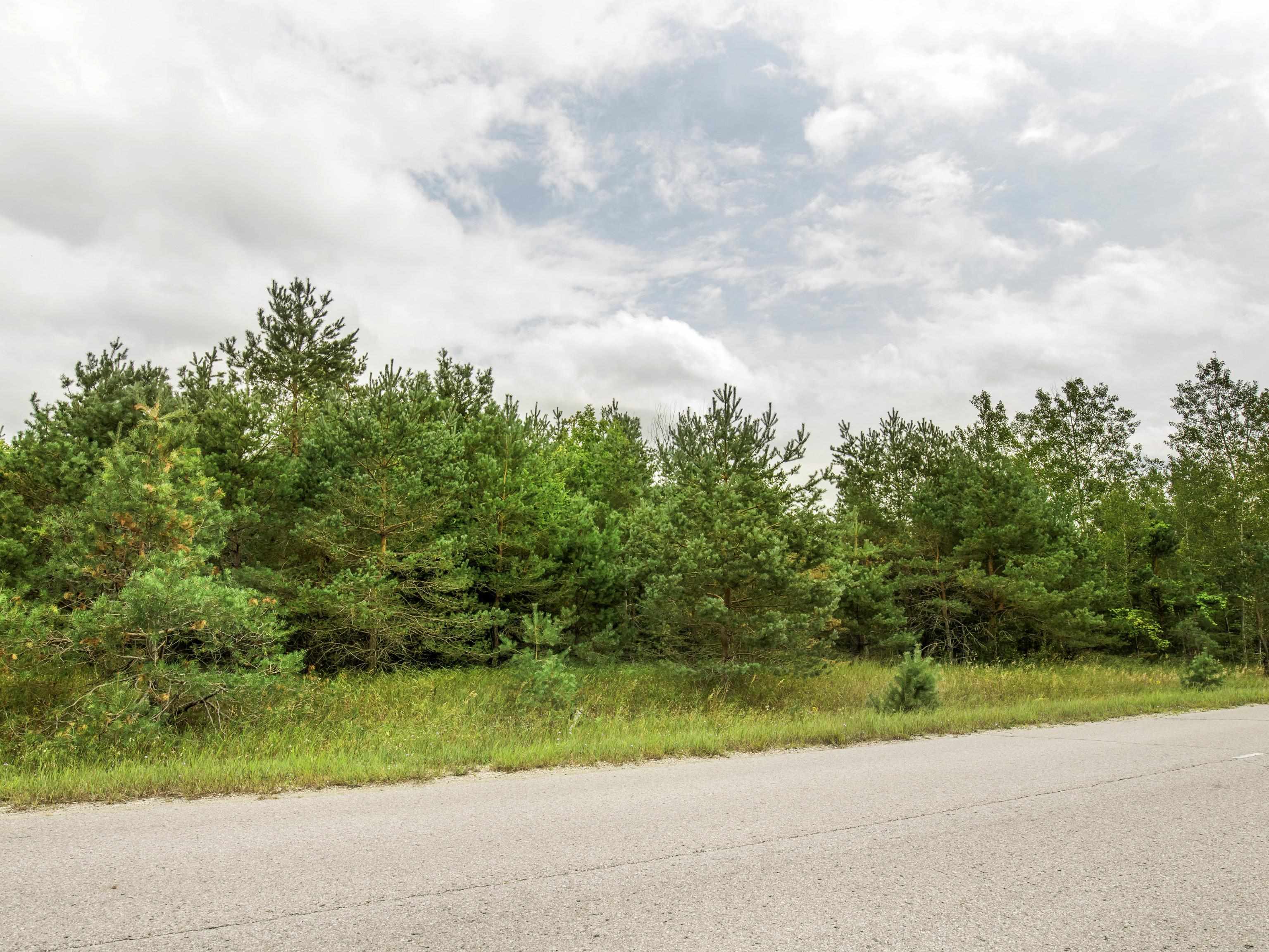 0 Bailey Road Mancelona, MI 49659 - Photo 9 of 12 Gallery Image 9