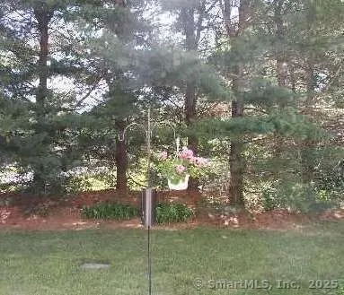 a tree in a yard next to a building