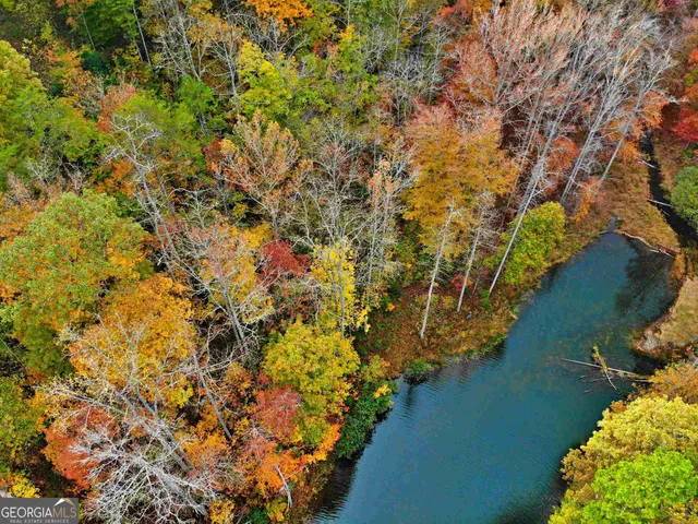 a view of a lake with a tree