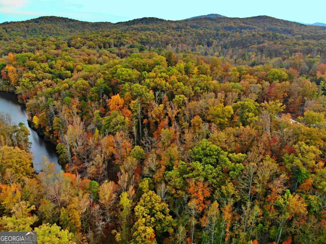 a view of a lush green field with mountains in the background