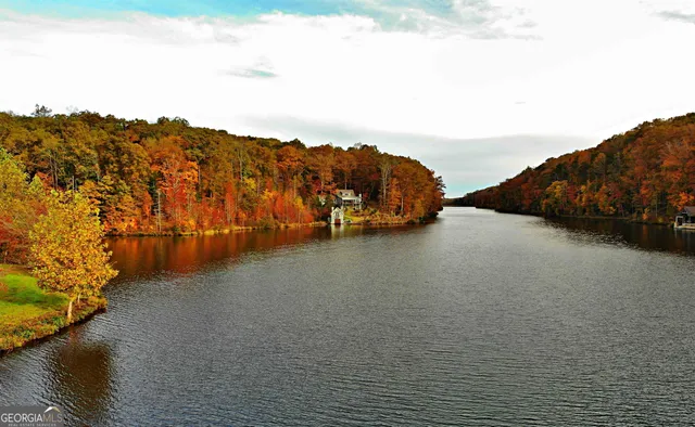 a street view with wooden fence and trees
