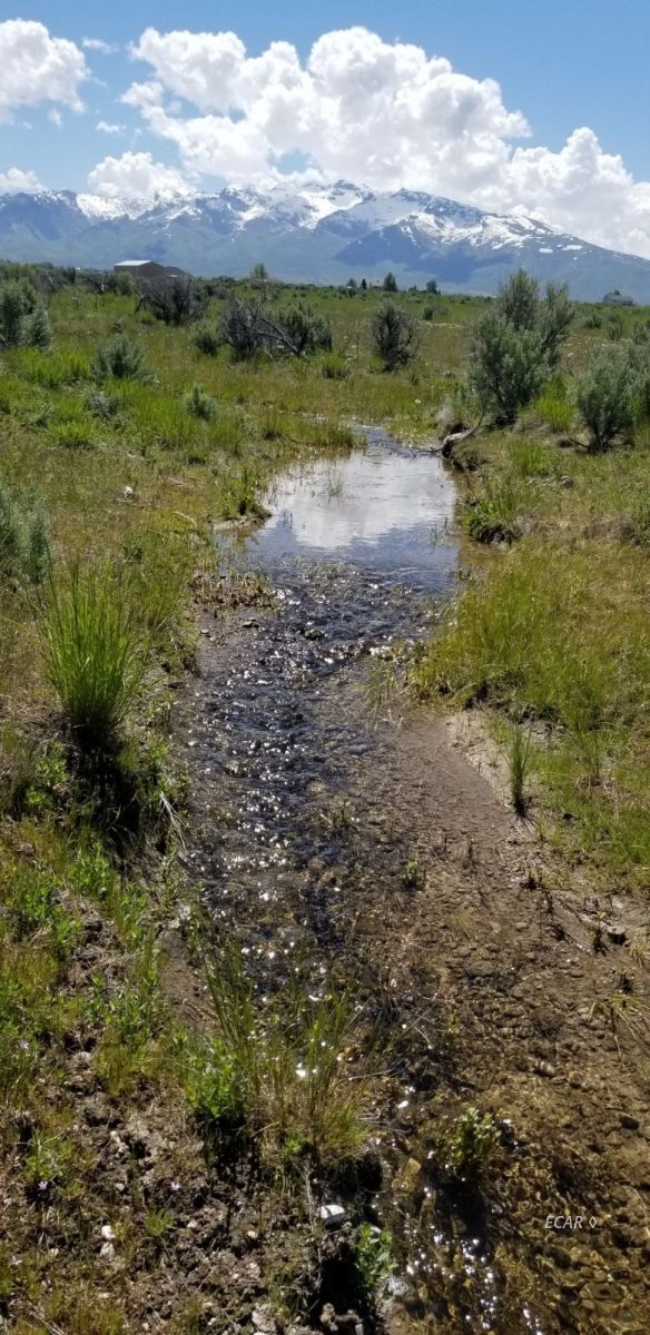 Tbd Lot 5 Chimney Creek Road Spring Creek, NV 89815 - Photo 4 of 11