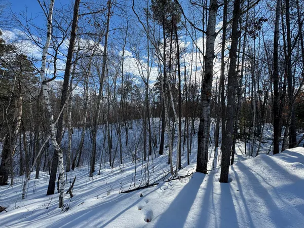 $28,500 | Lot 11 Firewood Trail, Park Rapids, MN 56470