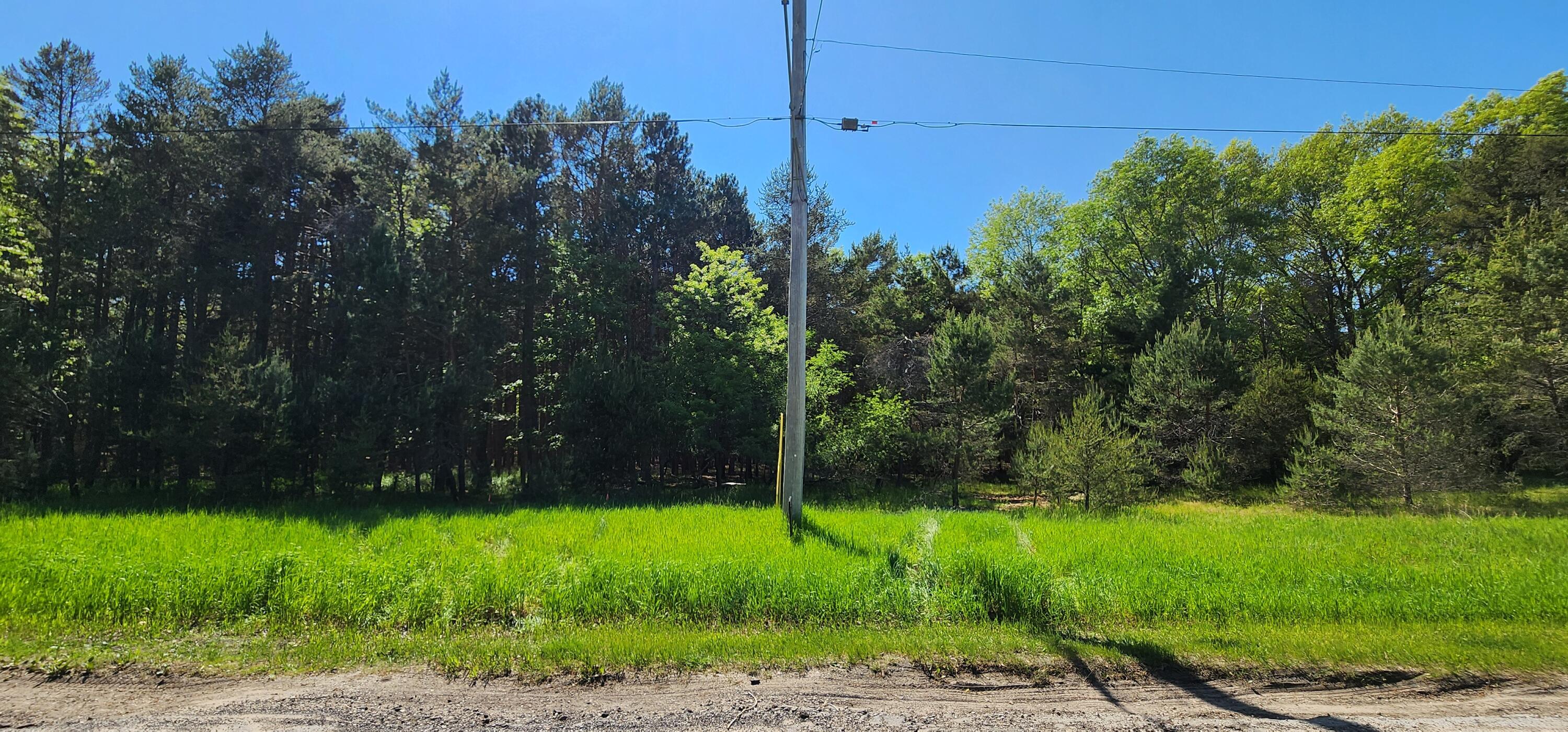 5 Acres Cherry Road Manistee, MI 49660 - Photo 1 of 16 20240523_162130