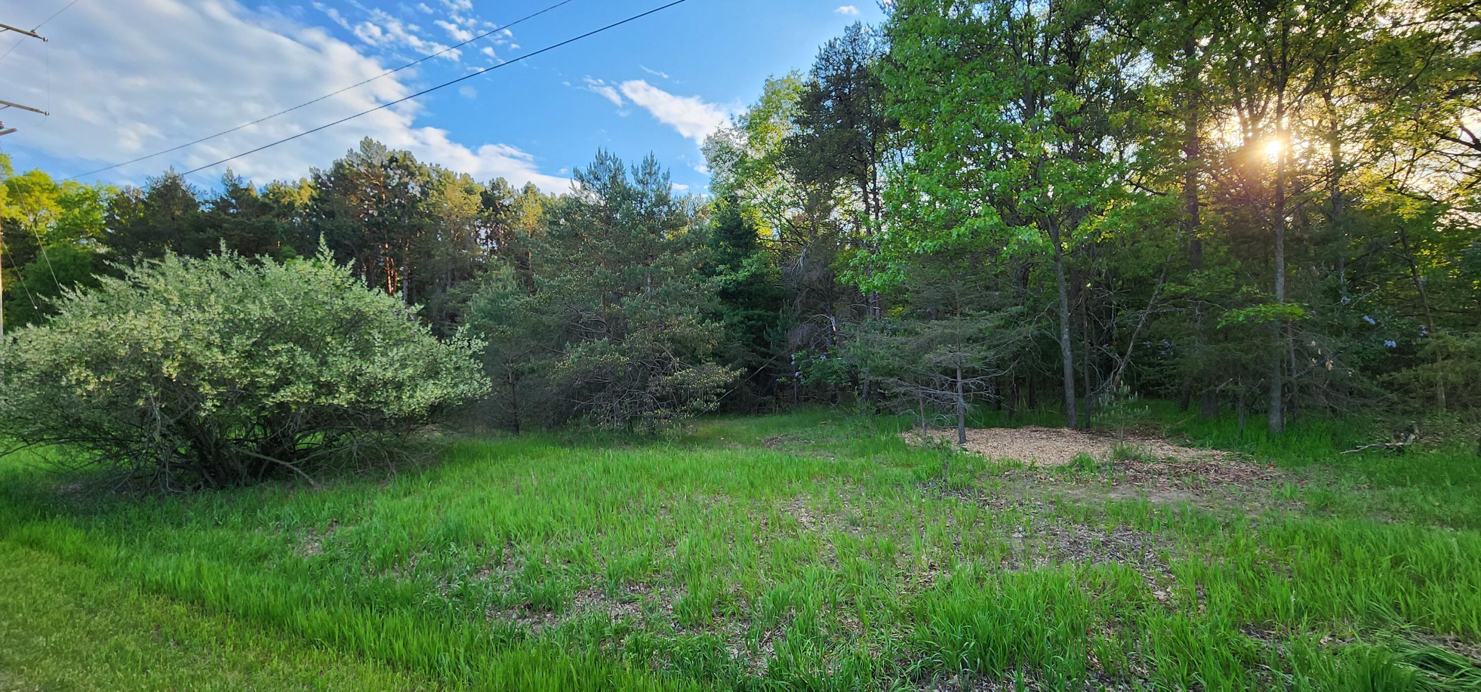 5 Acres Cherry Road Manistee, MI 49660 - Photo 12 of 16 20240523_193812