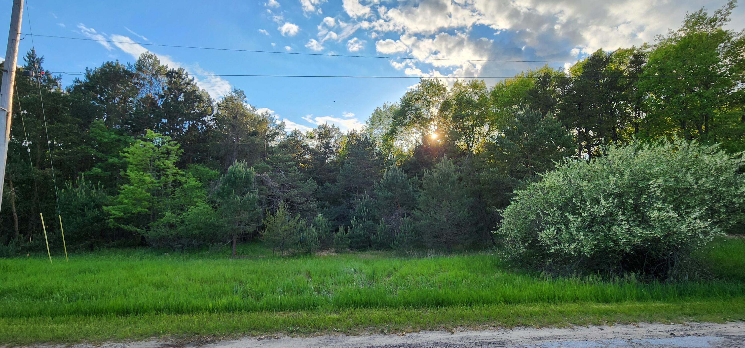 5 Acres Cherry Road Manistee, MI 49660 - Photo 13 of 16 20240523_193833