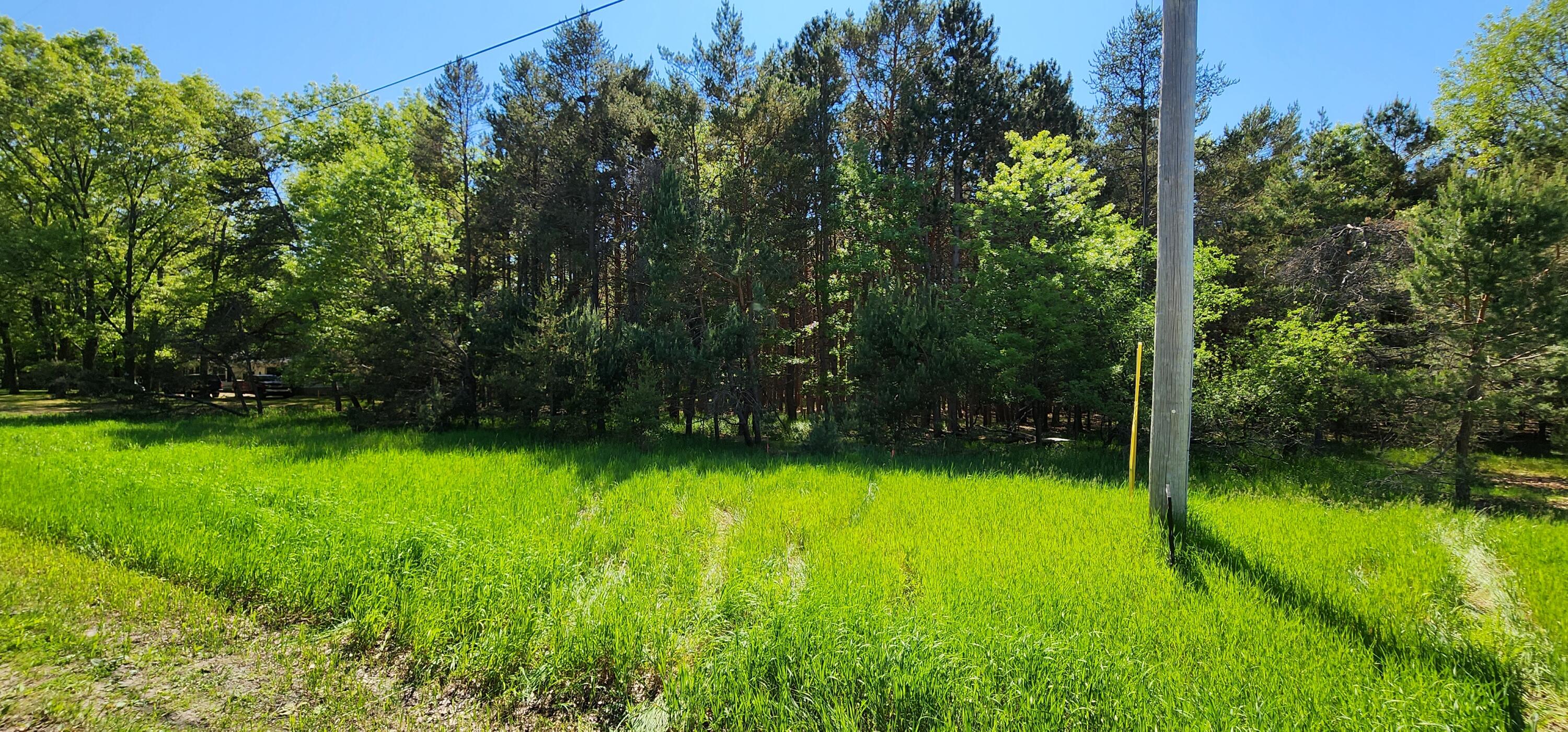 5 Acres Cherry Road Manistee, MI 49660 - Photo 3 of 16 20240523_162229