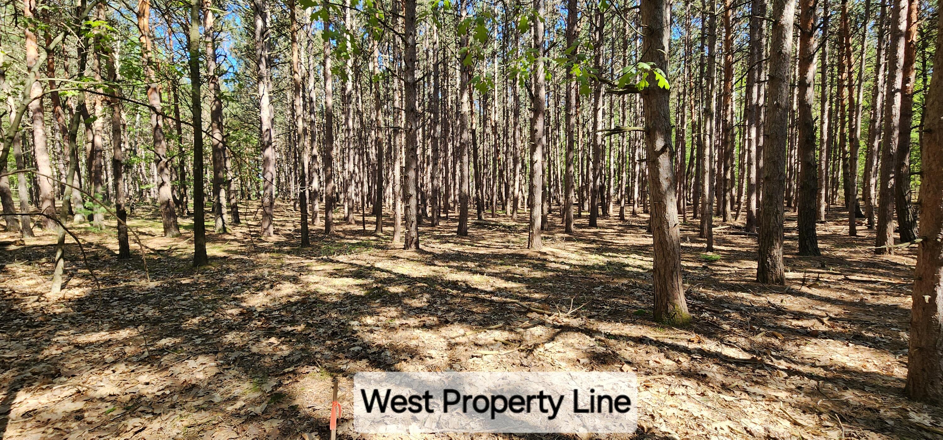 5 Acres Cherry Road Manistee, MI 49660 - Photo 6 of 16 20240523_163144