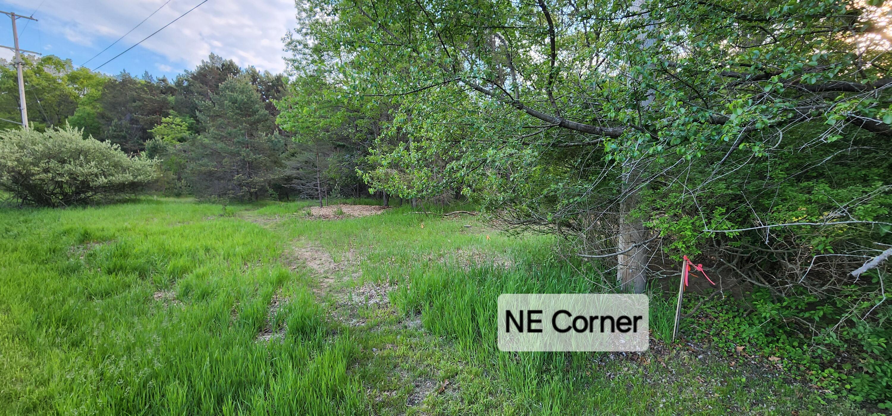 5 Acres Cherry Road Manistee, MI 49660 - Photo 10 of 16 20240523_193644