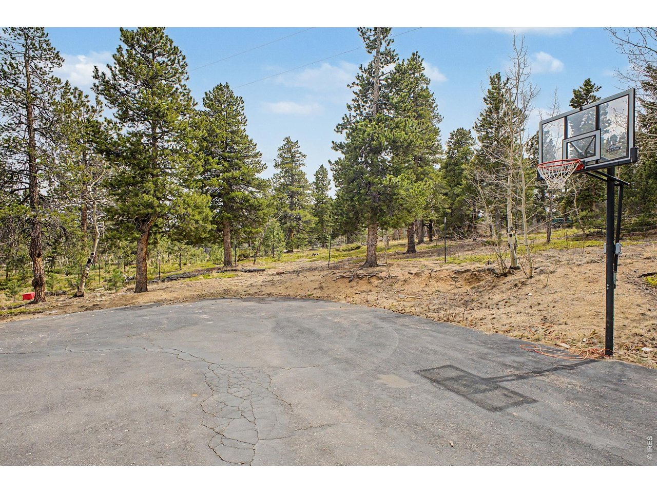 76 Highlands Drive Bailey, CO 80421 - Photo 35 of 49 a view of dirt yard with a tree