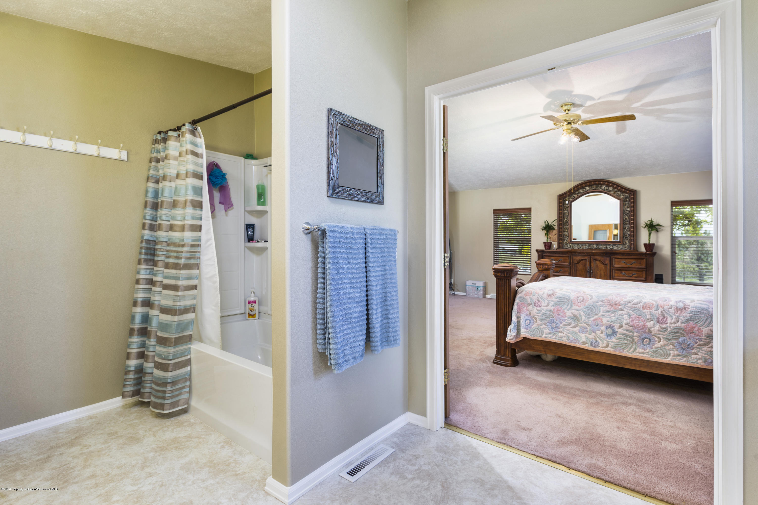 630 Lariat Road Silt, CO 81652 - Photo 15 of 21 a bedroom with a bed and a mirror