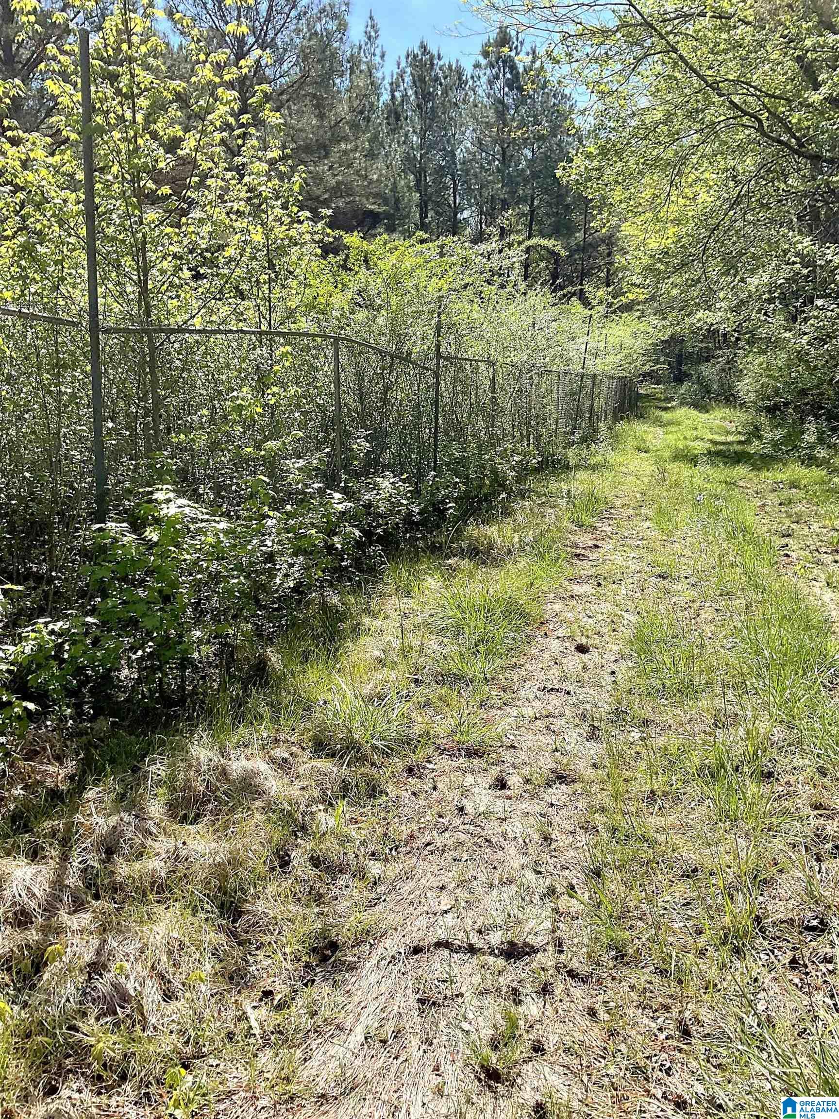 3653 Tabernacle Road Ethelsville, AL 35461 - Photo 3 of 9