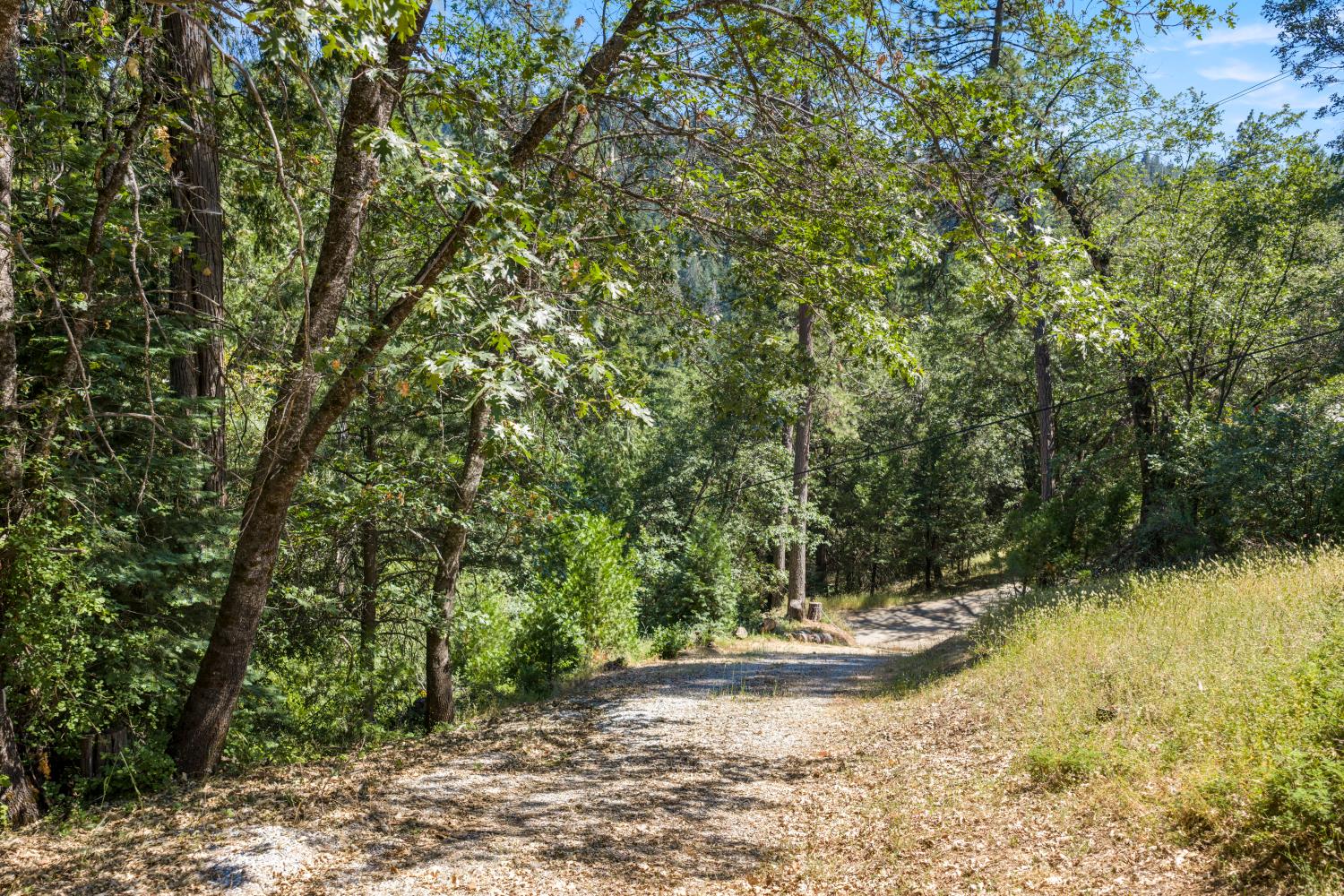 0 Meyers Road Camino, CA 95709 - Photo 3 of 28