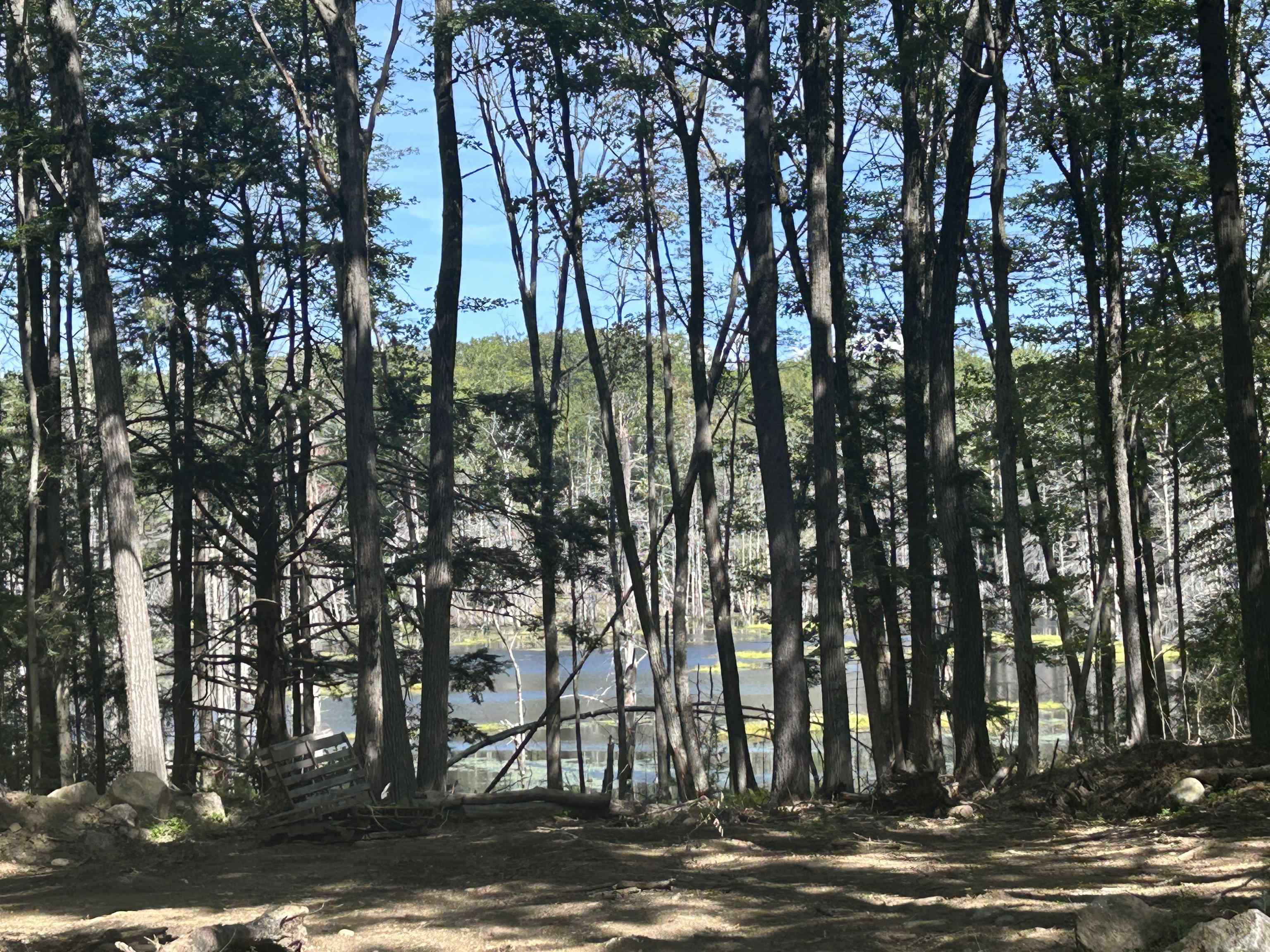 77 Mackey Road Troy, NH 03465 - Photo 3 of 23