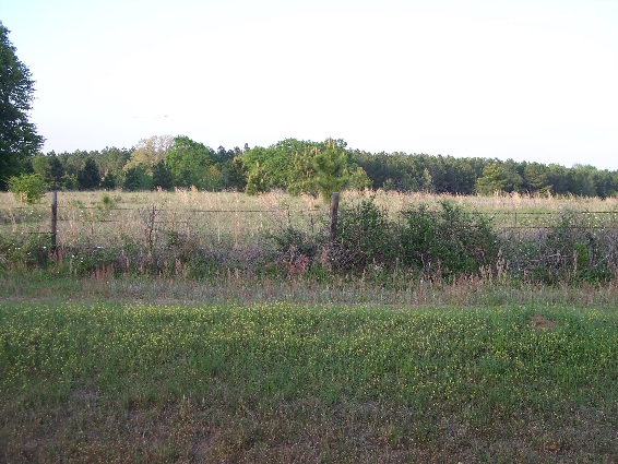 0 Gilbert Road Elko, GA 31025 - Photo 1 of 1 a view of a lake from a yard