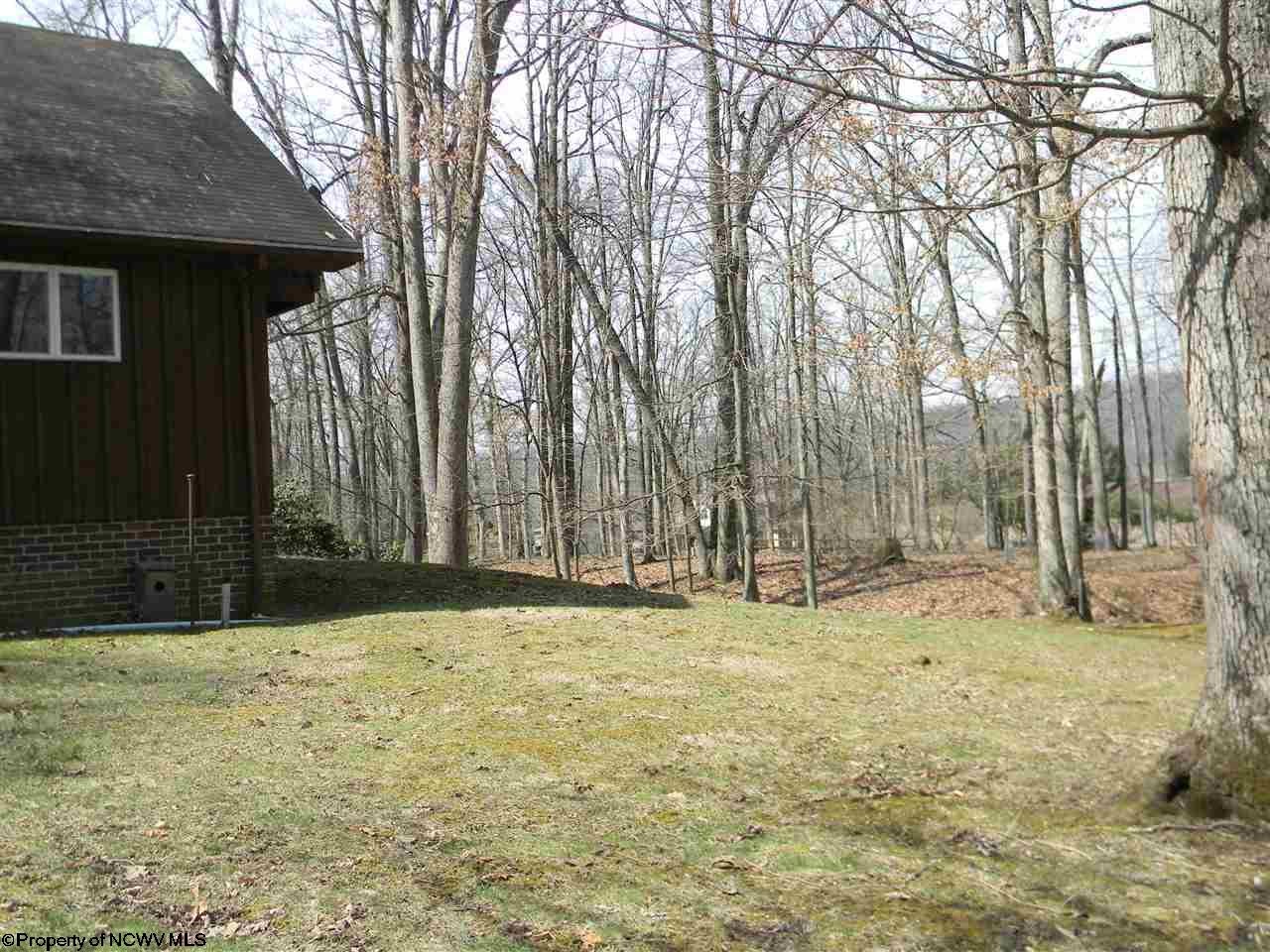 144 Lakeside Road Terra Alta, WV 26764 - Photo 5 of 20 Gallery Image 5