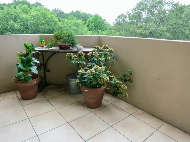 a view of a garden and potted plants