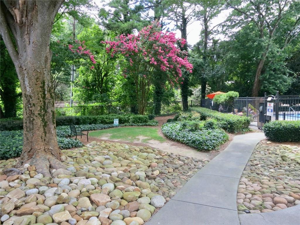 1501 Clairmont Road, Unit 713 Decatur, GA 30033 - Photo 29 of 29 a view of a pathway with a tree