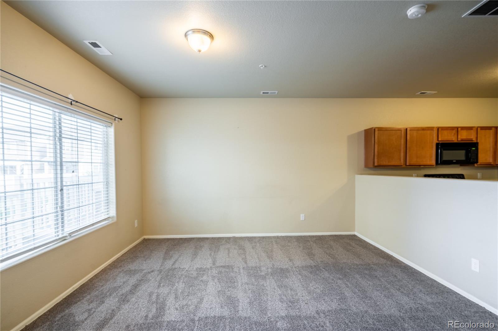 4910 Pearl Kite View Colorado Springs, CO 80916 - Photo 3 of 16 an empty room with a window