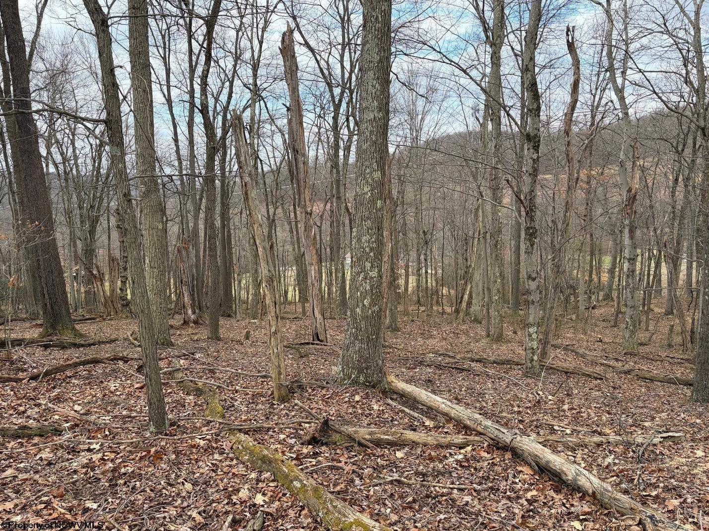 Tbd Mount Zion Road Fairmont, WV 26554 - Photo 14 of 29 Gallery Image 14