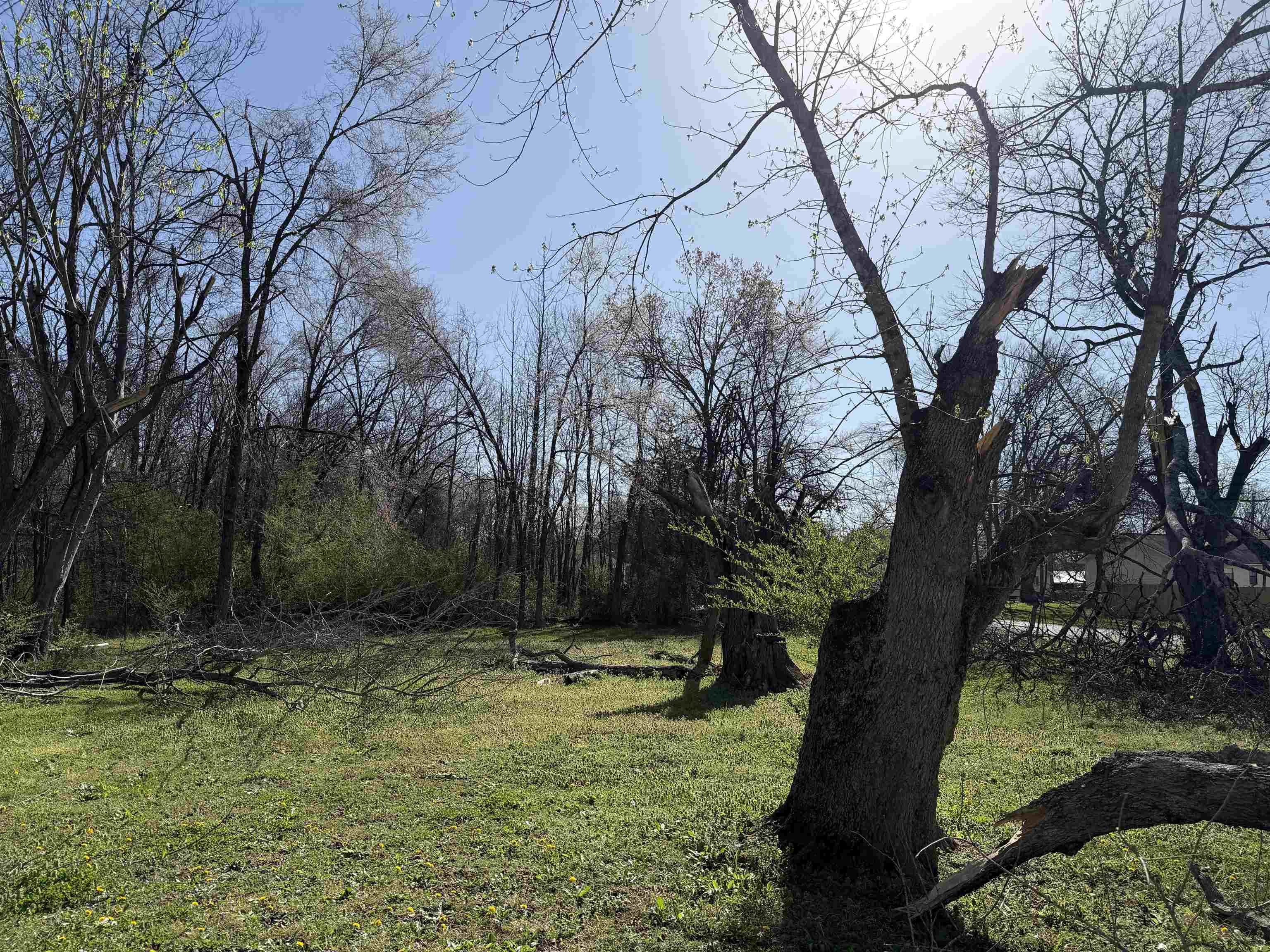 680 Patterson Road Savannah, TN 38372 - Photo 21 of 30