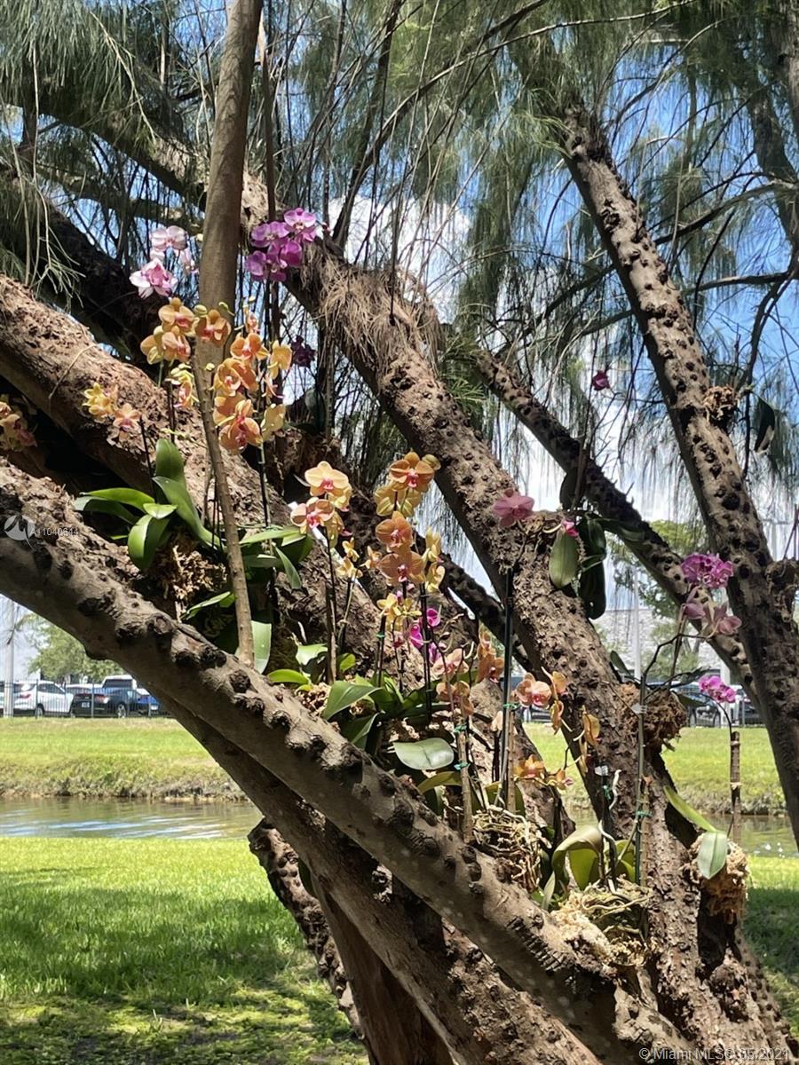 6709 North Kendall Drive, Unit 222 Pinecrest, FL 33156 - Photo 23 of 23 a view of a lake with a park