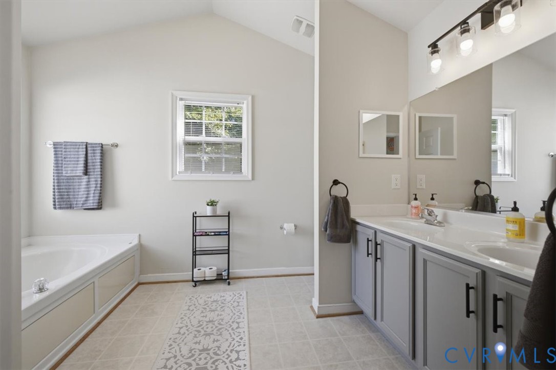 9819 Garden Ridge Place Chesterfield, VA 23832 - Photo 19 of 40 with double sink bowl vanity, garden tub and walk