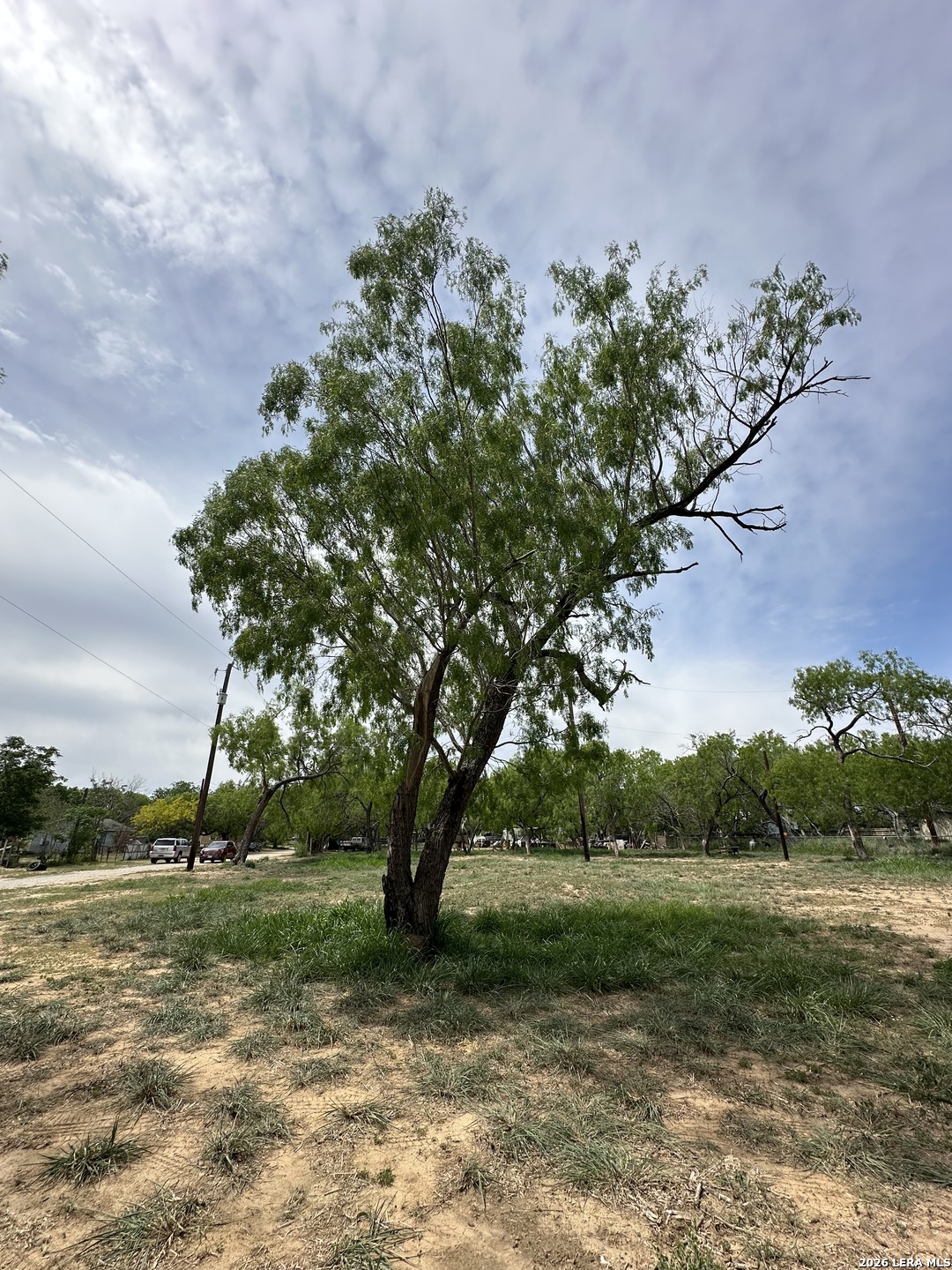 Tbd East 2nd Elmendorf, TX 78112 - Photo 12 of 16 a view of a yard with a tree