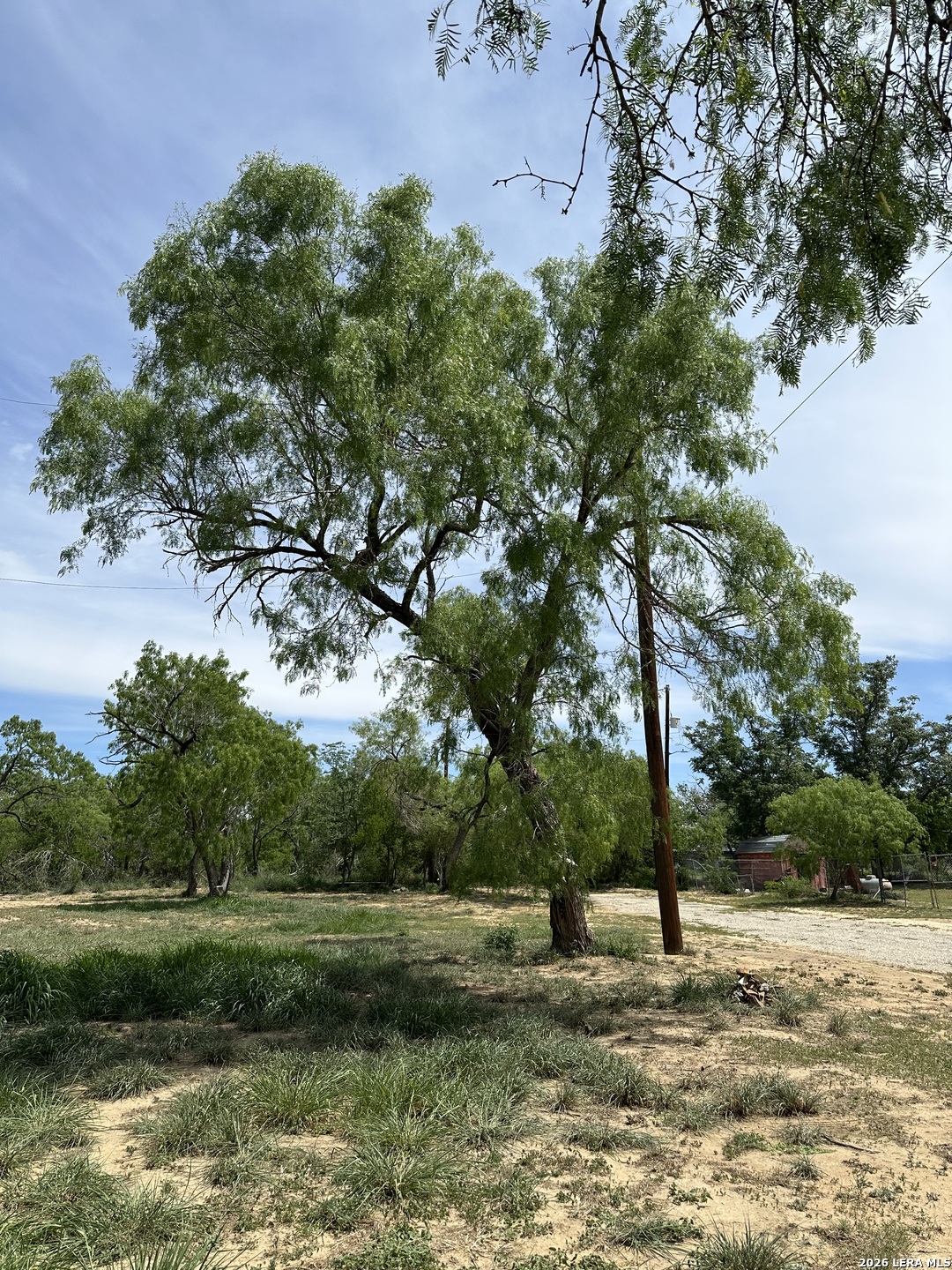 Tbd East 2nd Elmendorf, TX 78112 - Photo 16 of 16 a view of a tree is standing in between the field
