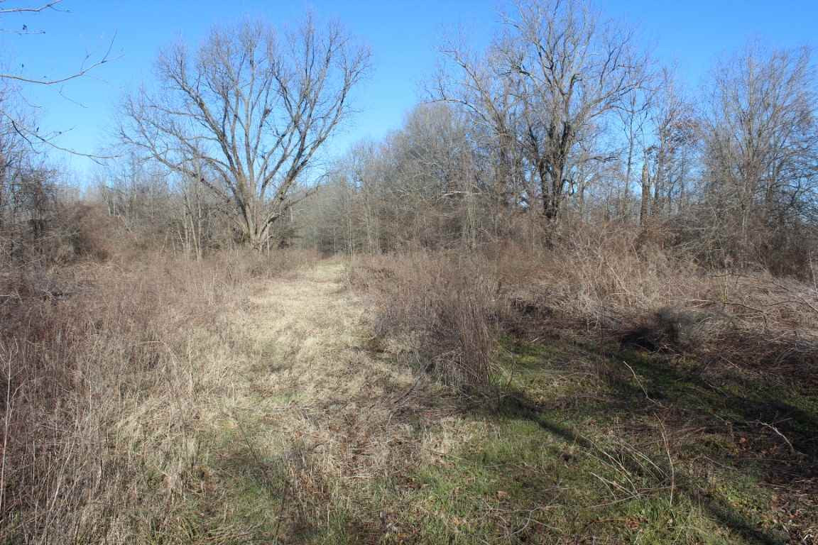 0 Levee Road Yazoo City, MS 39194 - Photo 8 of 13 Photo 8