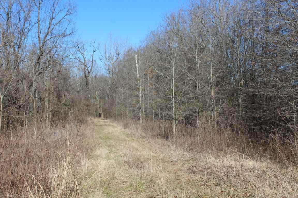 0 Levee Road Yazoo City, MS 39194 - Photo 9 of 13 Photo 9