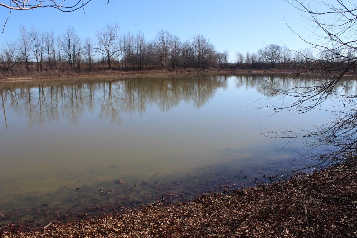 0 Levee Road Yazoo City, MS 39194 - Photo 10 of 13 Photo 10