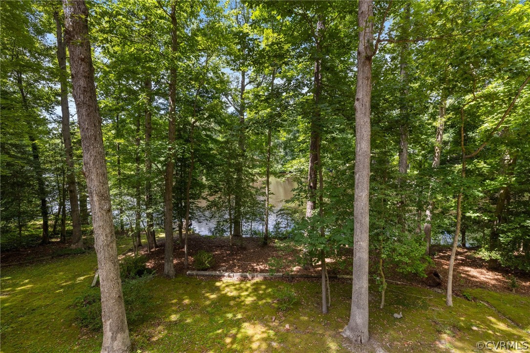 4534 Forrestal Road Chester, VA 23831 - Photo 15 of 39 a view of lake view