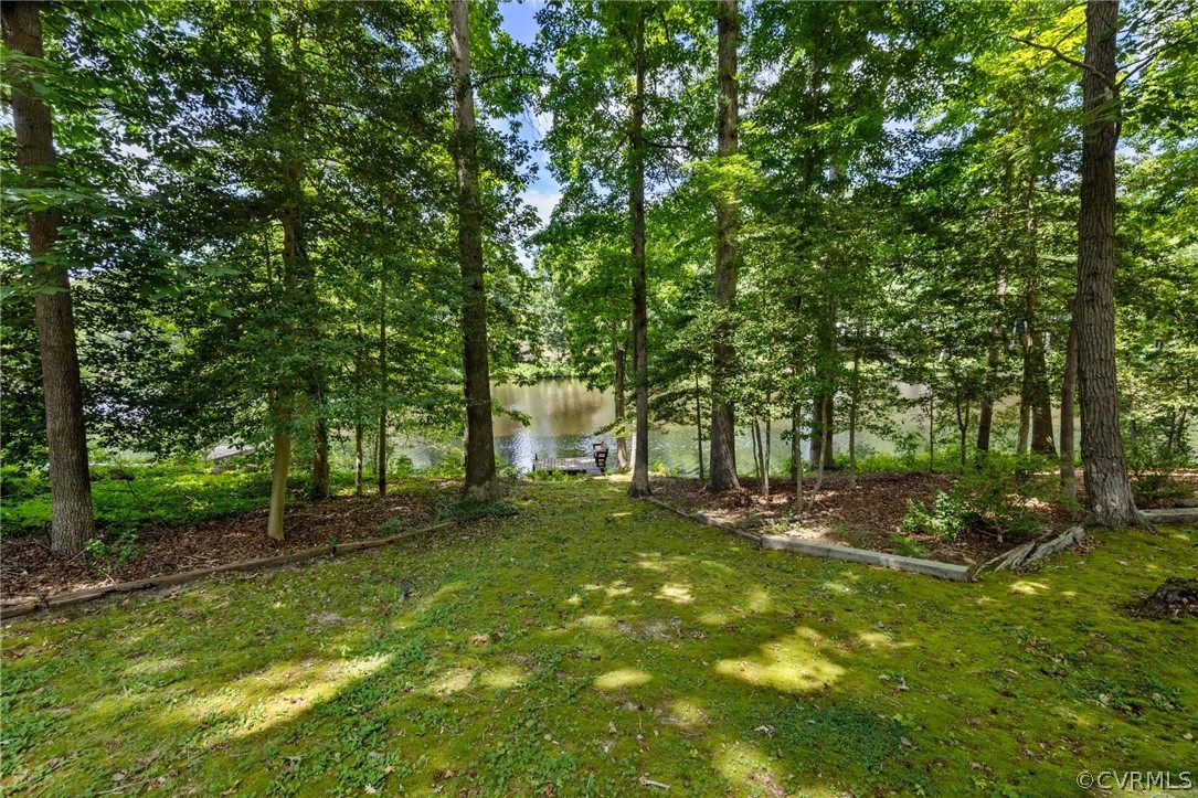 4534 Forrestal Road Chester, VA 23831 - Photo 33 of 39 a backyard of a house with lots of green space
