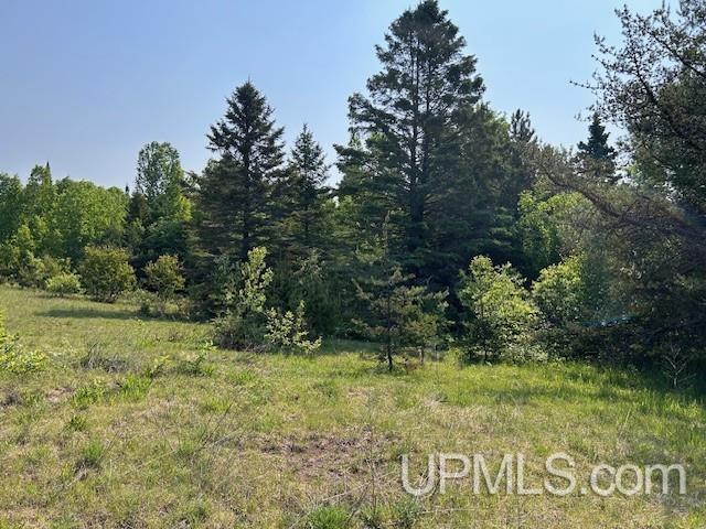 13408 West Jackola ( Road Atlantic Mine, MI 49905 - Photo 10 of 21