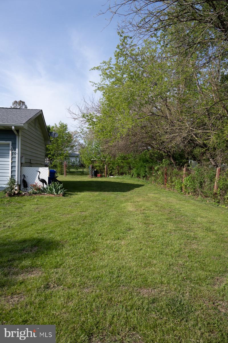 31858 River Park Road Millington, MD 21651 - Photo 7 of 15 a view of a garden