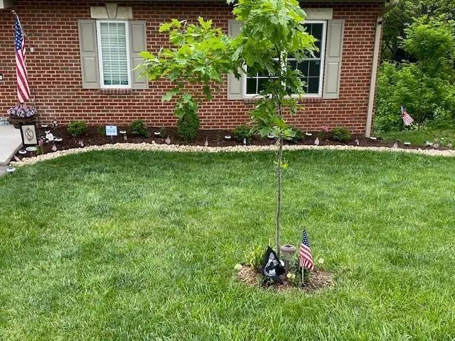 a backyard of a house with lots of green space