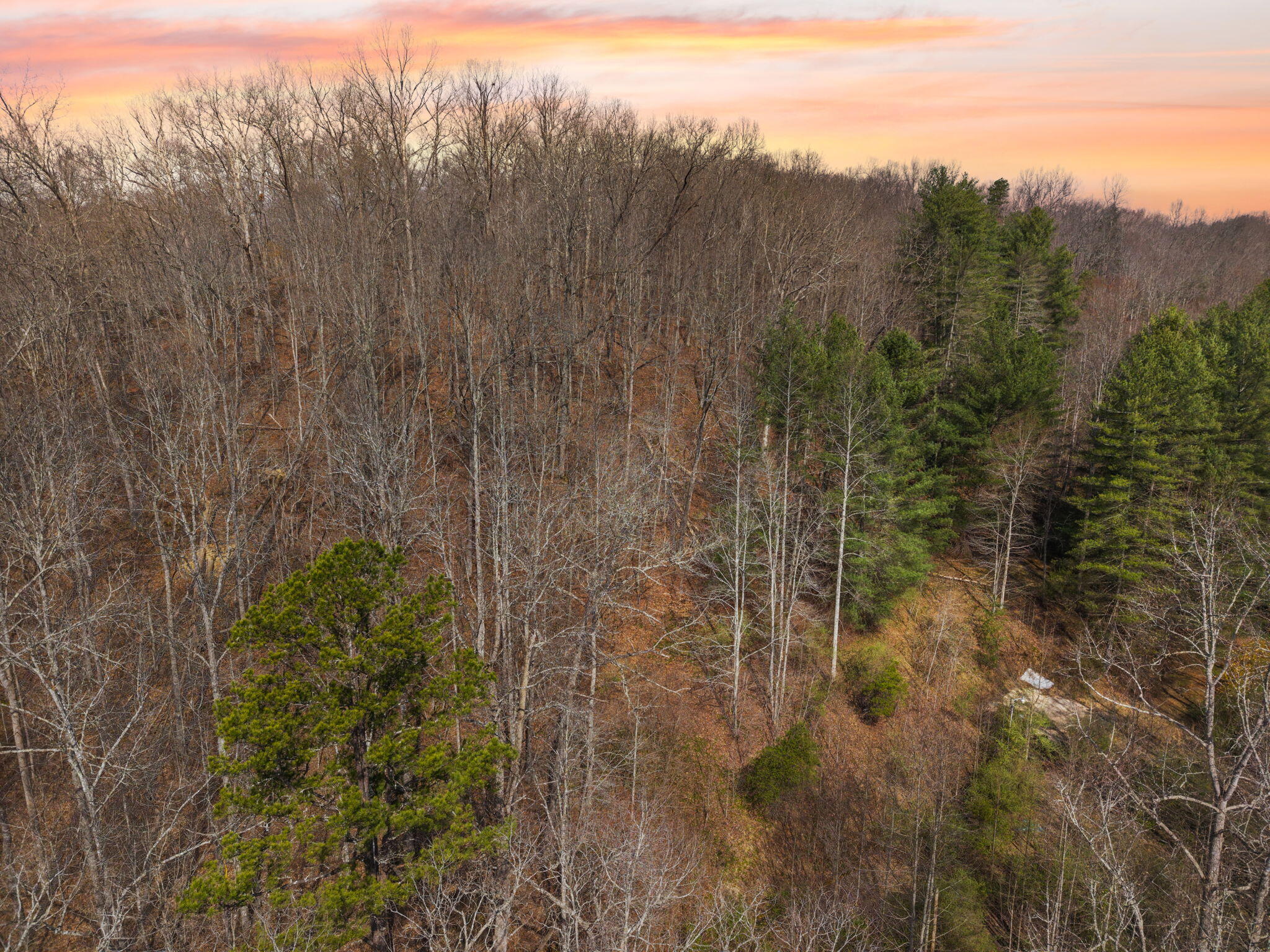 1230 Possum Trot Road Manchester, KY 40962 - Photo 4 of 25 1-web-or-mls-DJI_20260321114326_0029_D