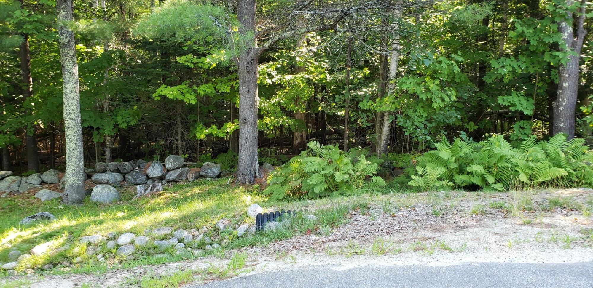 building lot
