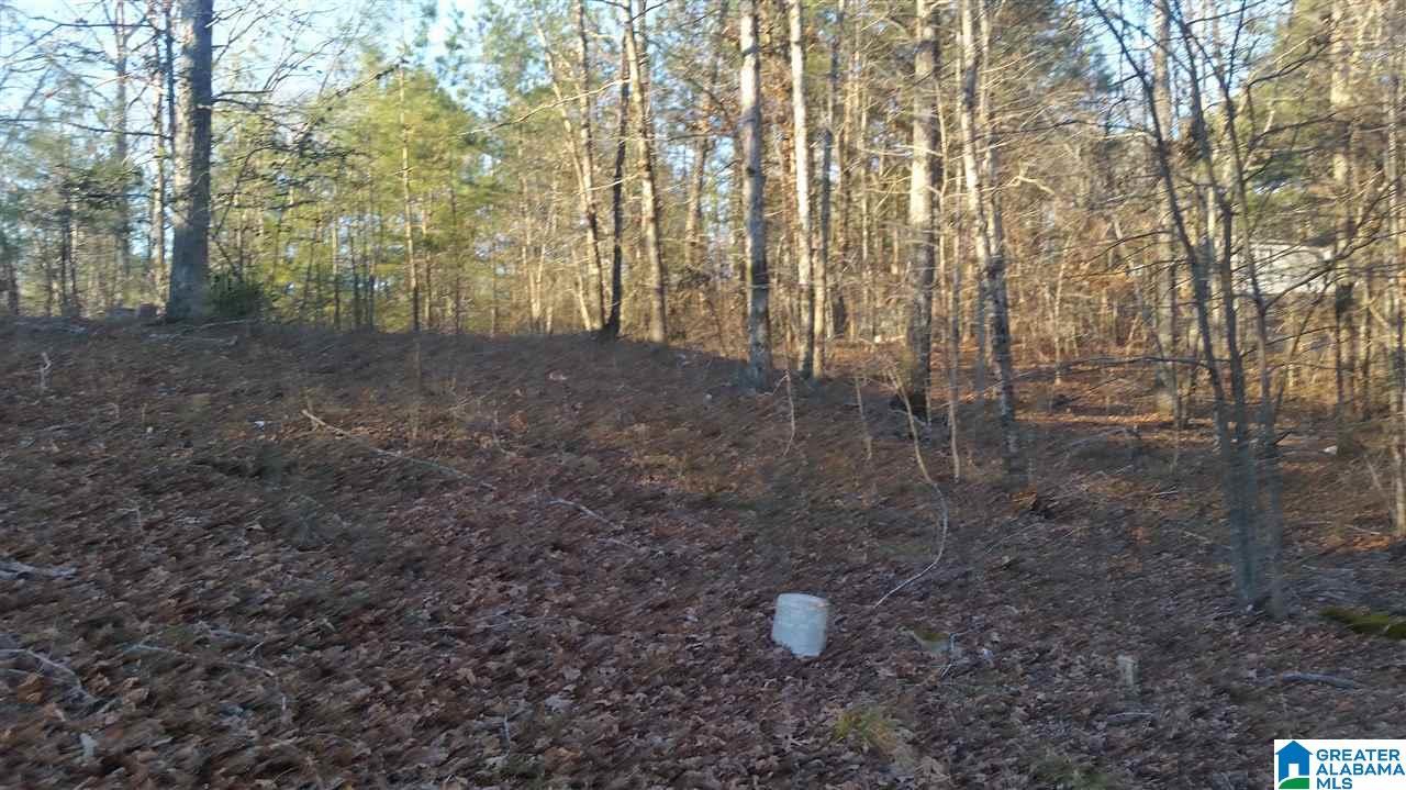 2244 Morris Majestic Road, Unit LOT 5 Morris, AL 35116 - Photo 4 of 10