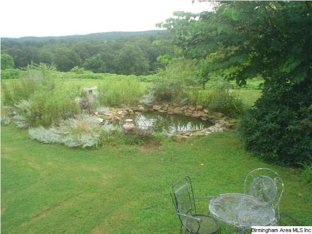 3205 Ebell Road Oneonta, AL 35121 - Photo 20 of 23 Gallery Image 20