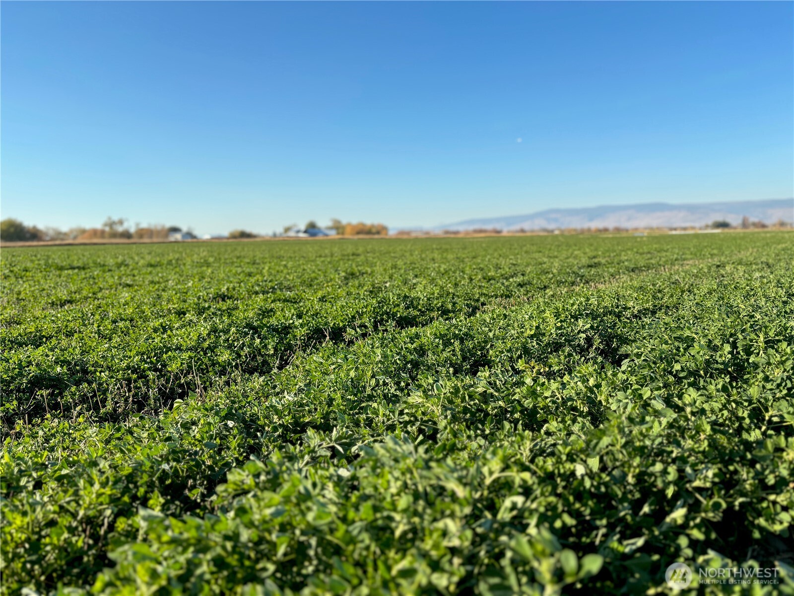 3-xx Lyons Road Ellensburg, WA 98926 - Photo 10 of 17