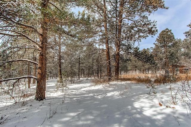 4480 Vale Road Colorado Springs, CO 80908 - Photo 13 of 20 Gallery Image 13