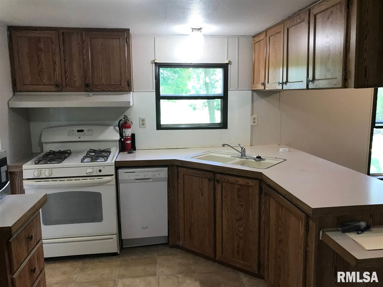 685 Water Tower Road Murrayville, IL 62668 - Photo 7 of 19