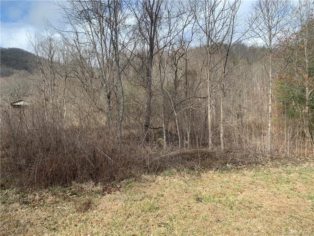 9999 Lula Cove Road Weaverville, NC 28787 - Photo 3 of 23 Gallery Image 3