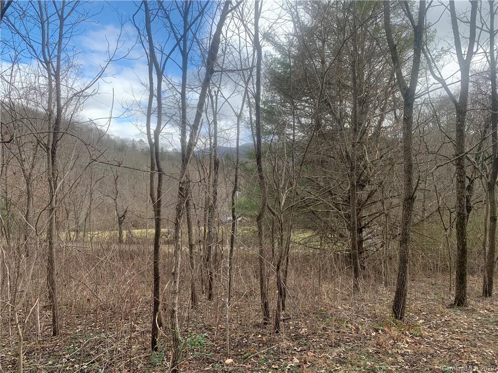 9999 Lula Cove Road Weaverville, NC 28787 - Photo 22 of 23 Gallery Image 22