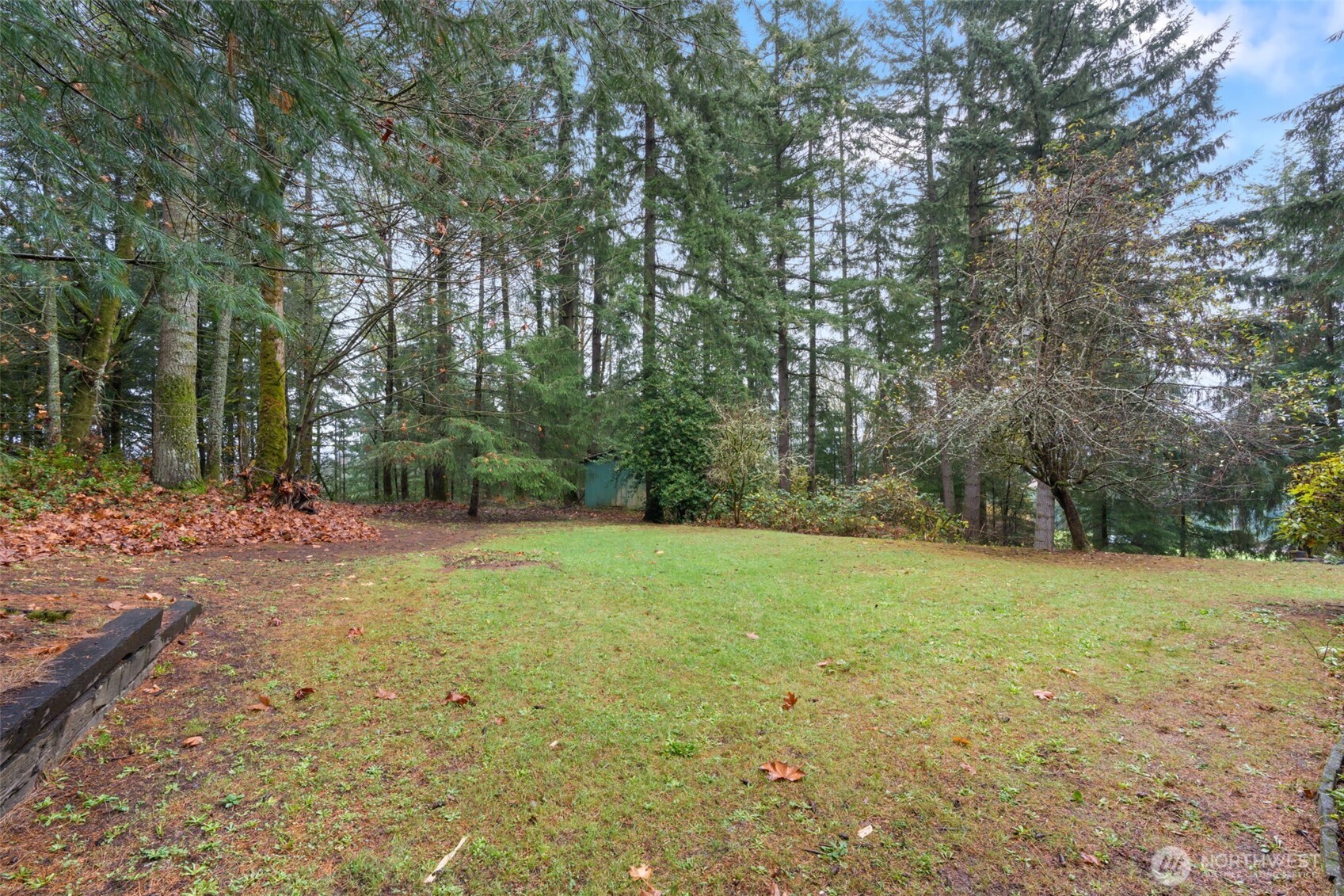 400 Ogden Road Castle Rock, WA 98611 - Photo 22 of 30 a view of outdoor space with trees