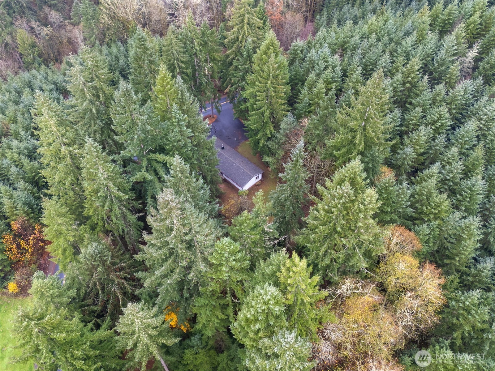 400 Ogden Road Castle Rock, WA 98611 - Photo 30 of 30 an aerial view of a house with a yard and outdoor seating